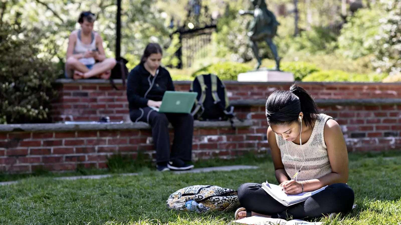 Studying on futter field